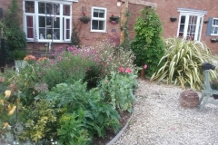 Juliett's Garden early July. Quite a change!